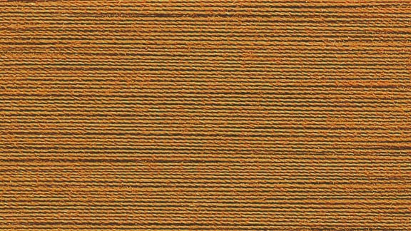 9735 hazelnut